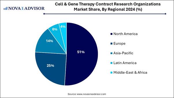 A blue pie chart with text

AI-generated content may be incorrect.