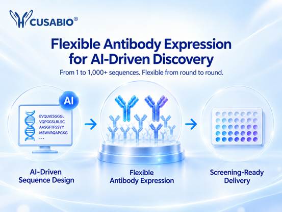 CUSABIO_Antibody_Expression_AI_Driven_Discovery
