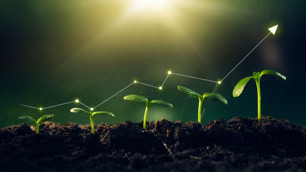 Concept of business growth,profit, development and success. Young plants increase on sunny background.Growing money,finance and investment