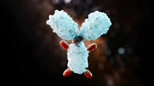 3D illustration of an antibody-drug conjugate