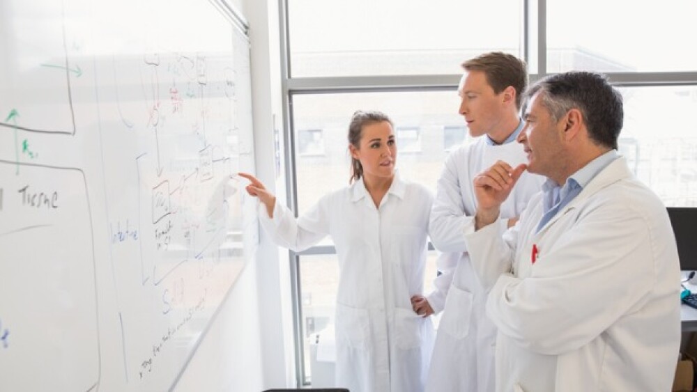 Pictured: Scientists working together/Wavebreakmed