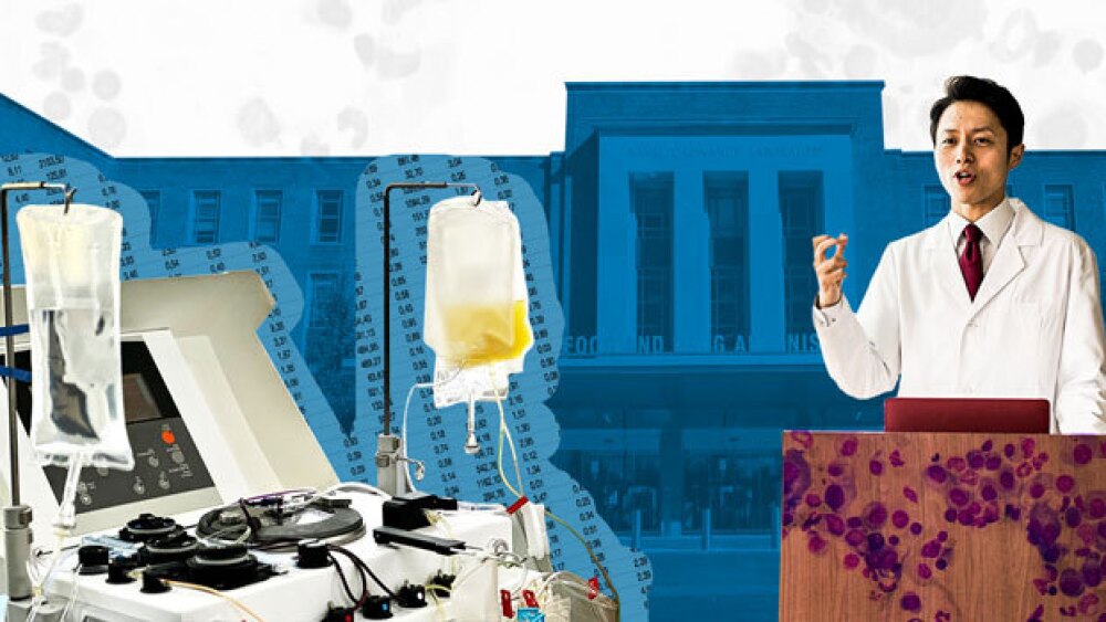 Pictured: Concept of FDA meeting collage/Nicole Be