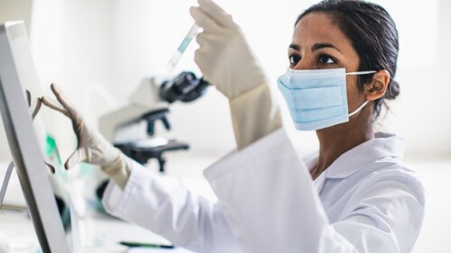 Scientist working in the laboratory
