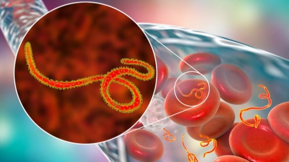 Inmazeb is the world's first treatment for Ebola.