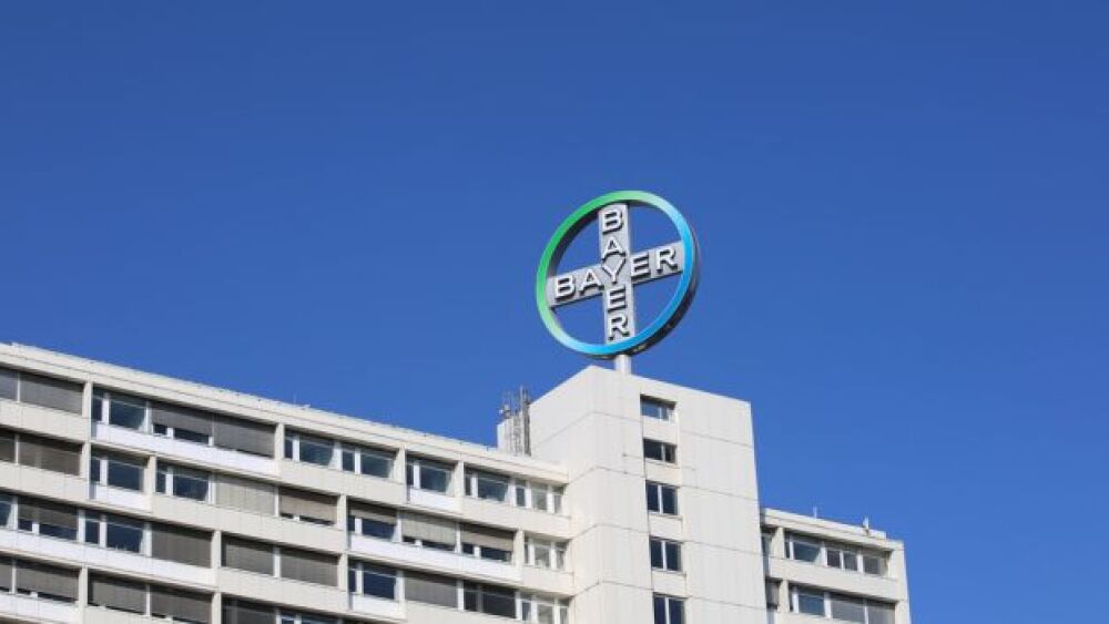 Pictured: Bayer's global pharmaceuticals headquarters in Germany