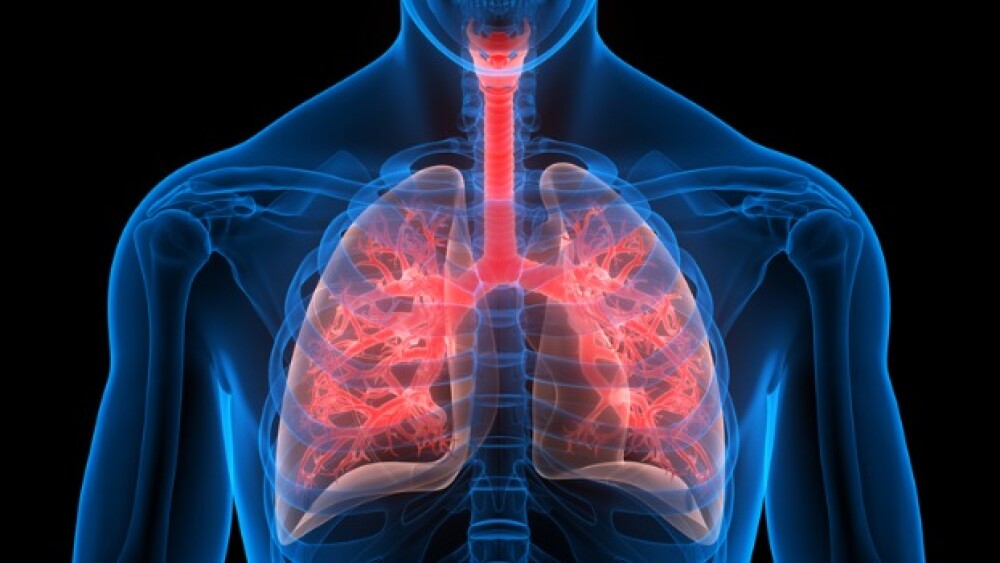 Pictured: Human lung anatomy concept/iStock, magic