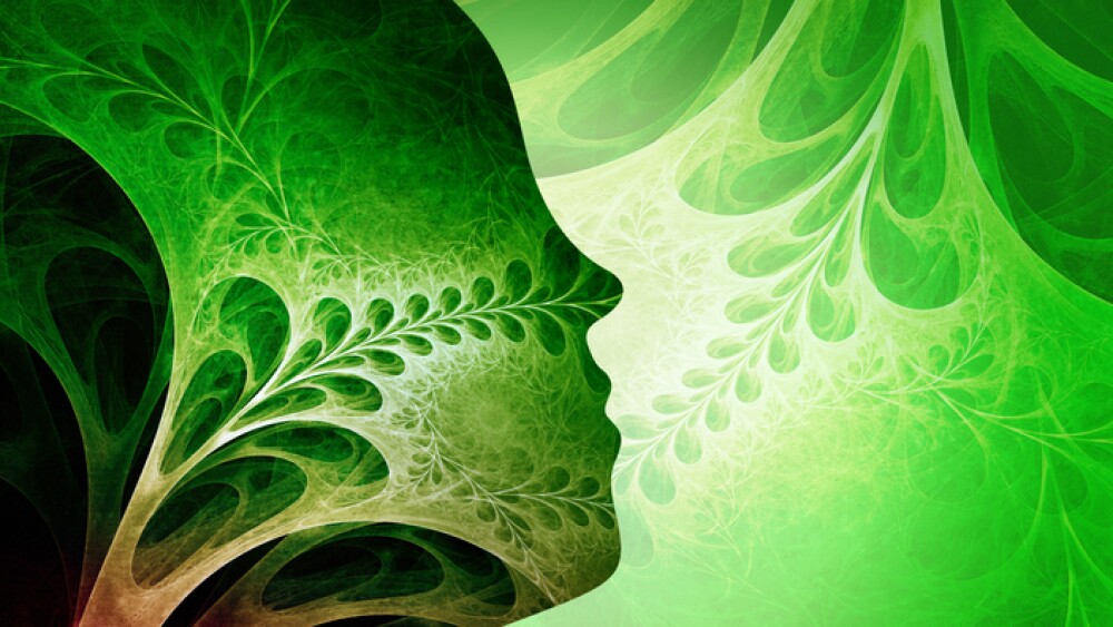 Rhinosinusitis, sinusitis concept image