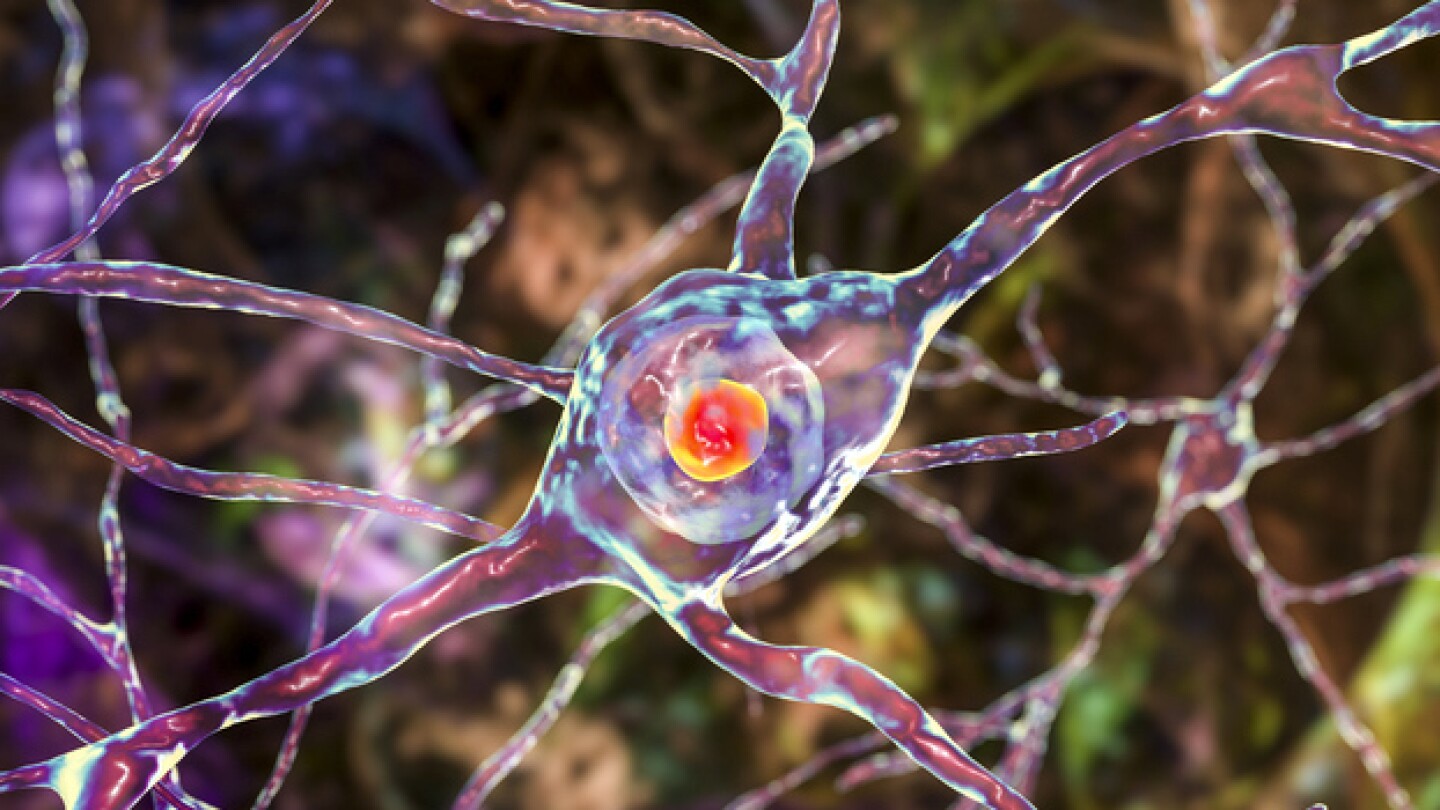 Pictured: Neuronal intranuclear inclusions/iStock,