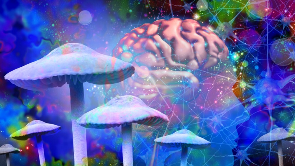 Mushrooms and mental health as Psychedelic drug or psychedelics hallucinogenic drugs and hallucinogens representing medicine for brain disorders in a 3D illustration style.