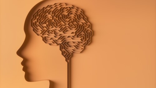Brain shaped maze. Concept image of study and brain behavior.
