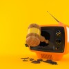 Gavel inside tv isolated on orange background. 3d illustration