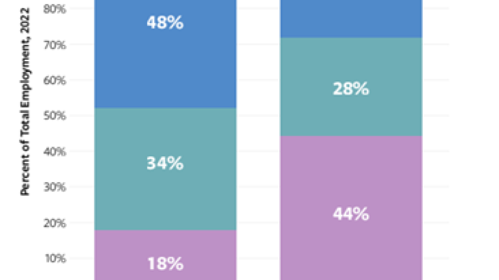 Skills composition of entry-level positions/CSBI