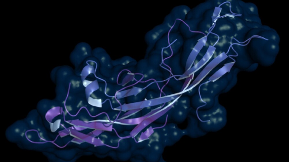 Space-Filling Model of Follicle Stimulating Hormon