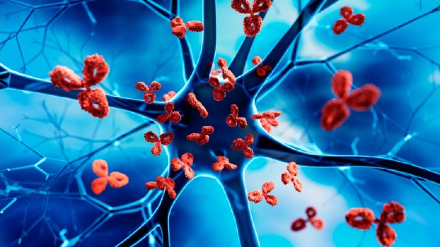 Pictured: Illustration of antibodies attacking a nerve cell