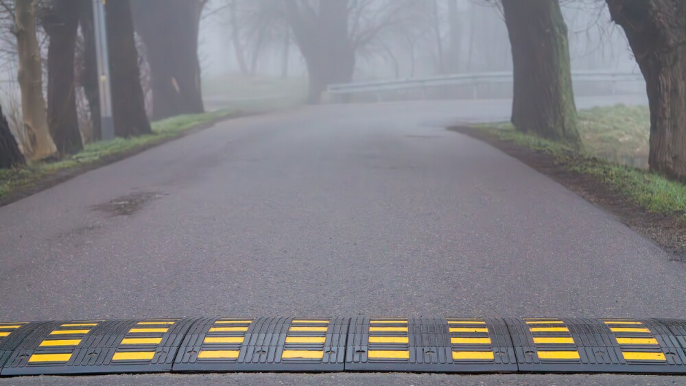 speed bumps marked in yellow on a residential road. a road in the fog among very old historic willows. a foggy road on a spring morning.