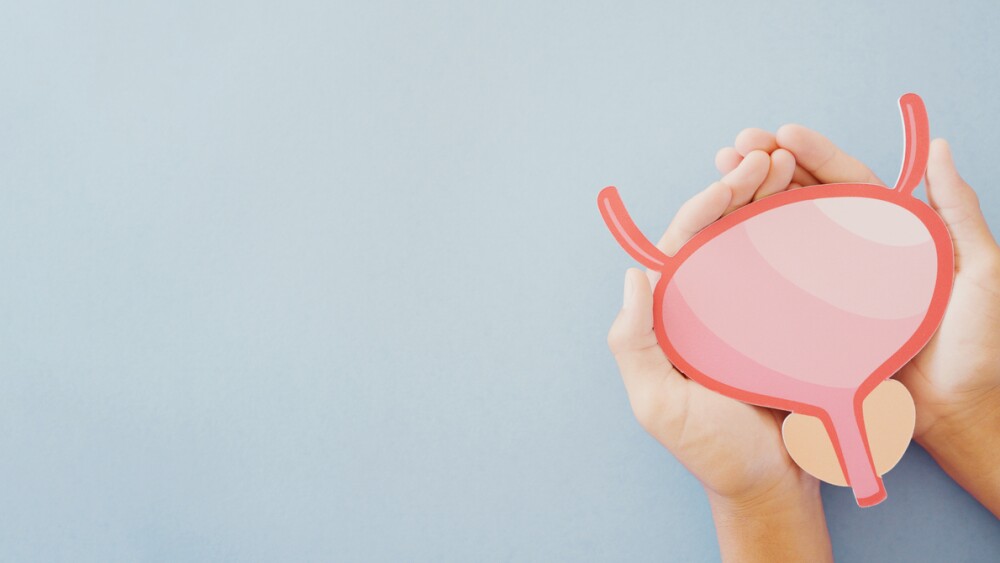 Hands holding bladder, cystitis, urethritis and Urinary Incontinence, bladder cancer concept