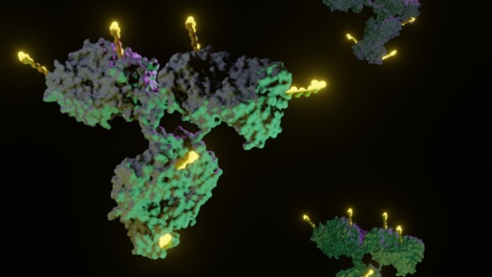 Pictured: 3D rendering of antibody-drug conjugate/