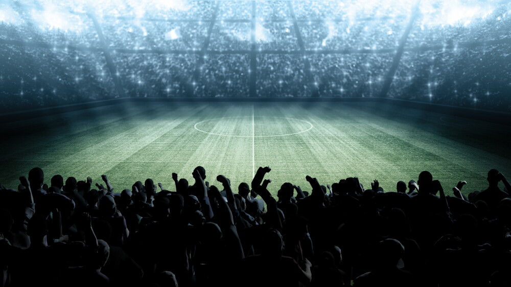 Fans in an imaginary stadium. An imaginary stadium was prepared by modelling and rendering.