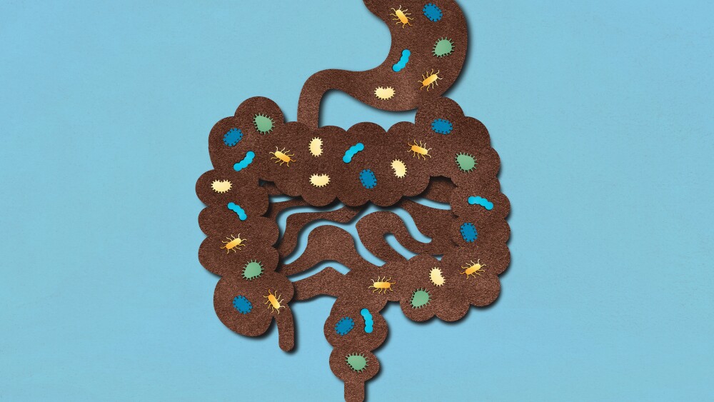 2D illustration of the gut with microorganisms