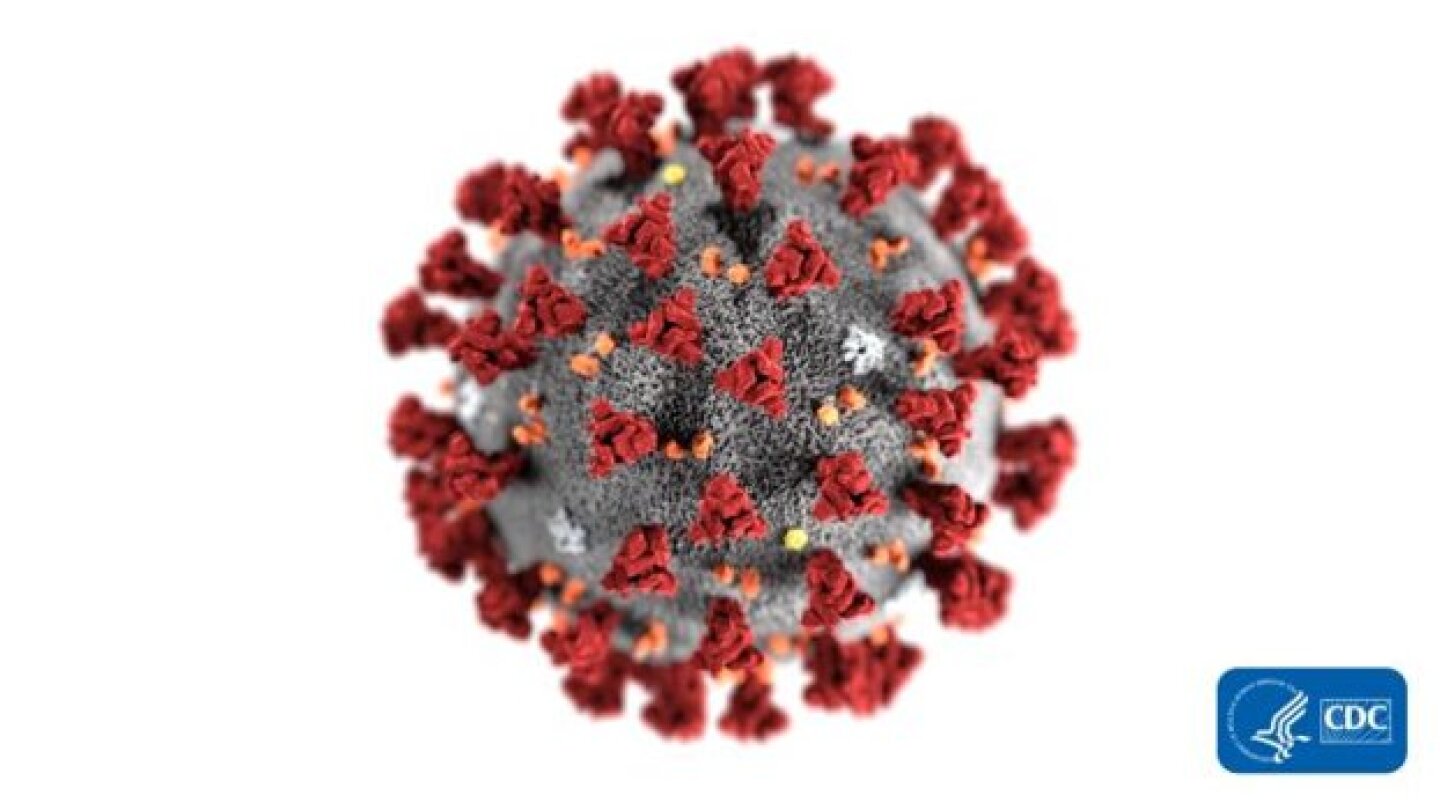 Credit: CDC Public Health Image Library (PHIL) #23