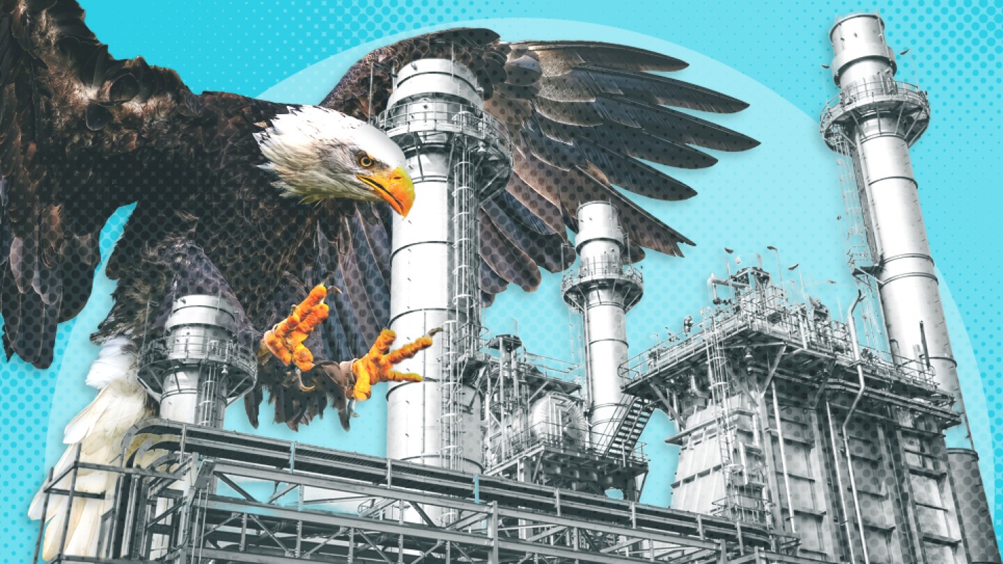 Illustration of a bald eagle swooping down on a factory