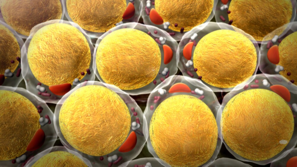 Cholesterol lowering medications seem to be very p