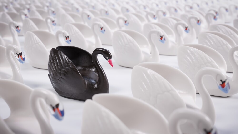 Black swan theory or a black swan event is a term used to describe a very rare or otherwise unexpected event that has a major effect, such as a financial crash or pandemic. The term is based on an ancient saying which presumed black swans did not exist.