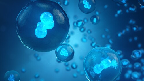 Human or animal cells on blue background. Concept Early stage embryo Medicine scientific concept, Stem cell research and treatment, 3D illustration
