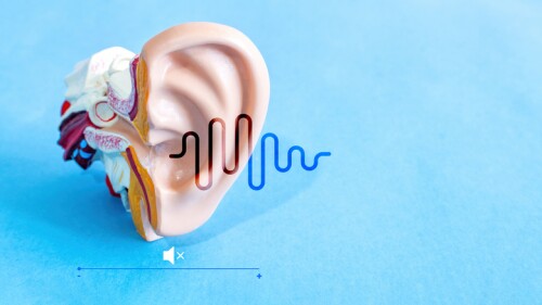 Anatomical model of human ear with luminous sound wave on blue background. Auditory health.