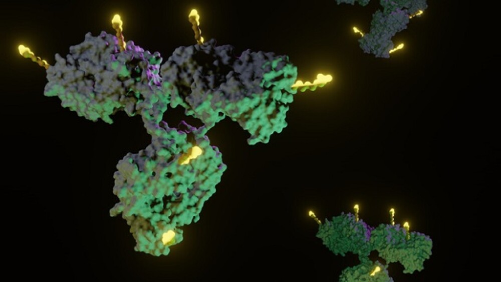 Antibody drug conjugates (ADCs) are targeted medicines that deliver chemotherapy agents to cancer cells 3d rendering