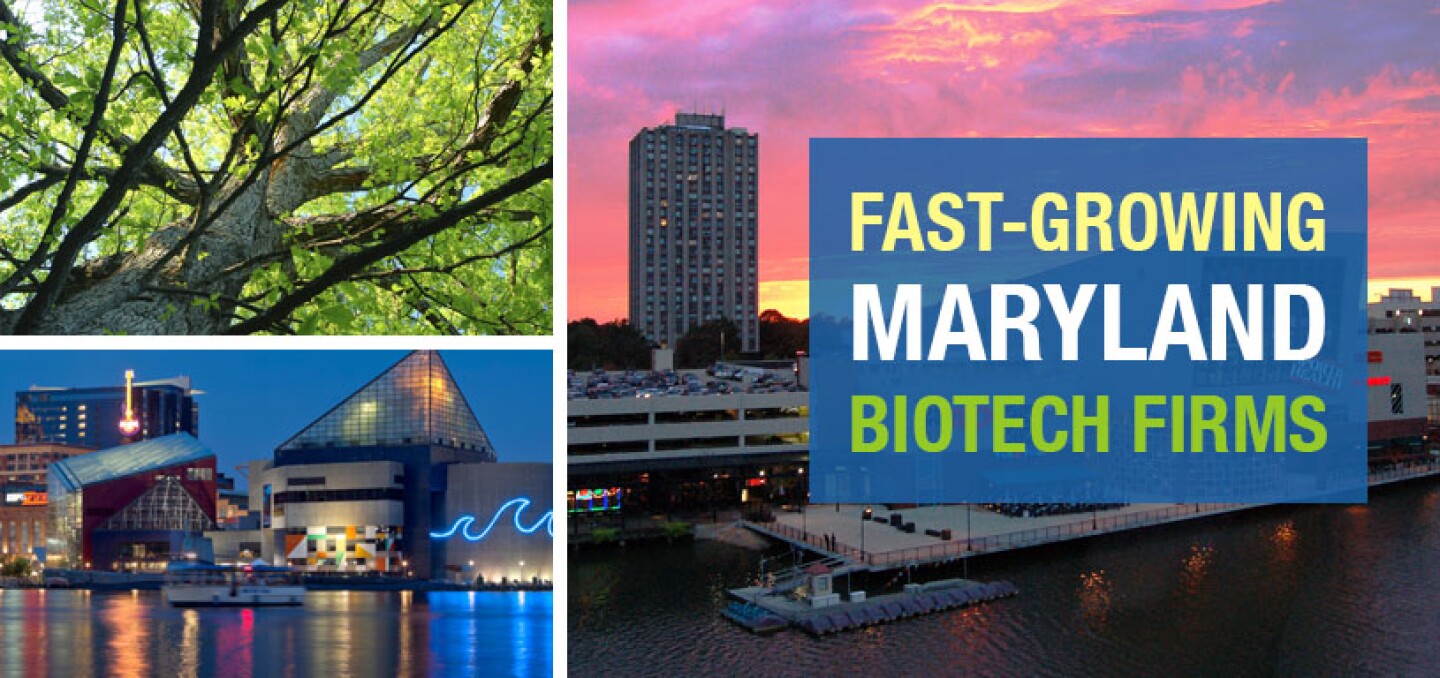 Fast-Growing Maryland Biotech Firms’
