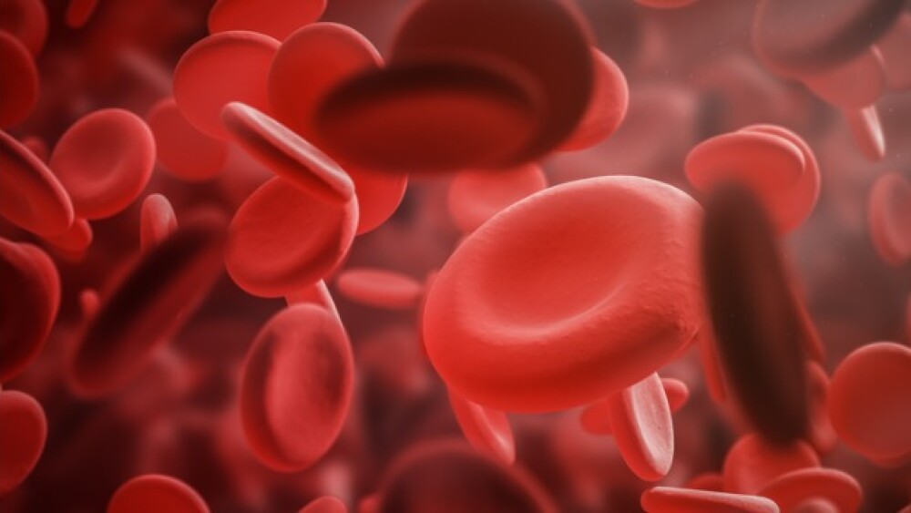 Pictured: Illustration of red blood cells