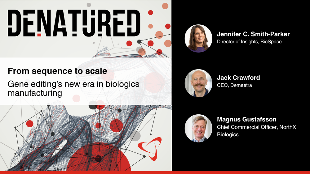 Syntax Bio Announces Expanded Series A and Leadership Appointments ...