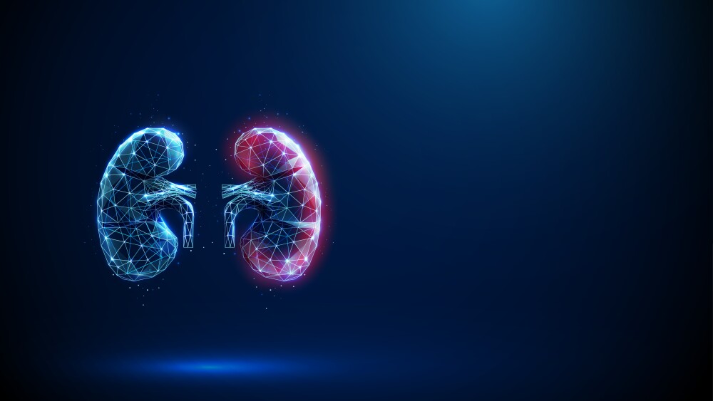 Blue human kidneys with a red surface. Kidney disease, medical diagnosis, technology, artificial intelligence, treatment concept. Low-poly futuristic digital style. Wireframe structure. Vector.