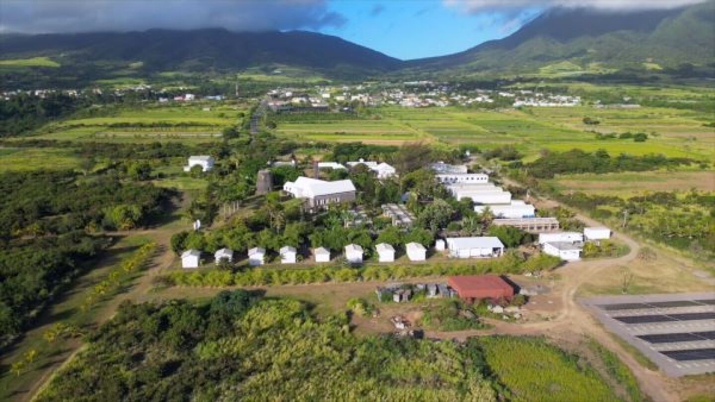 Virscio's St. Kitts Research Vivarium, Virscio