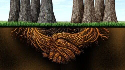 Strong Business Partnership and teamwork metaphor as two different groups joining together with a handshake represented by trees and stronk roots.