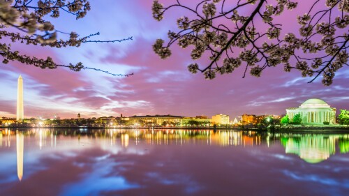 Washington DC, USA at the Tidal Basin during spring season at night.