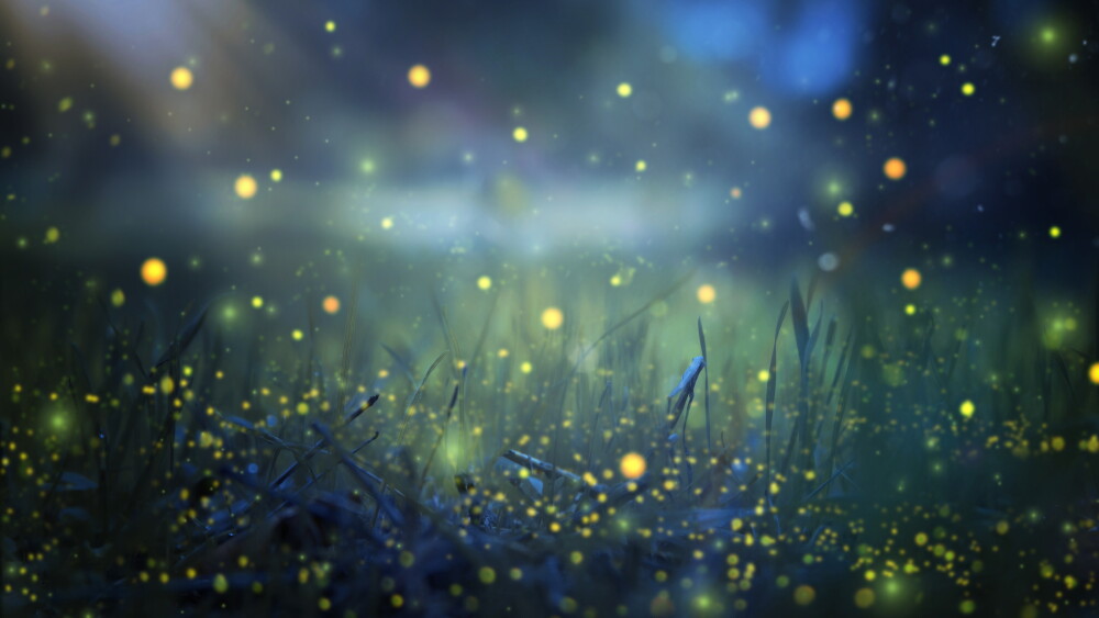 Abstract and magical image of Firefly flying in the night forest. Fairy tale concept