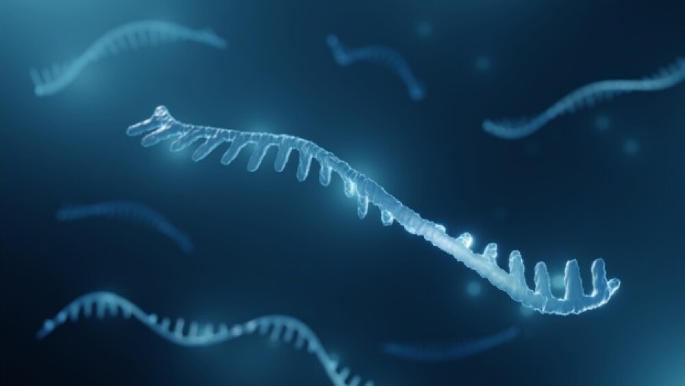 3D illustration of an RNA molecule
