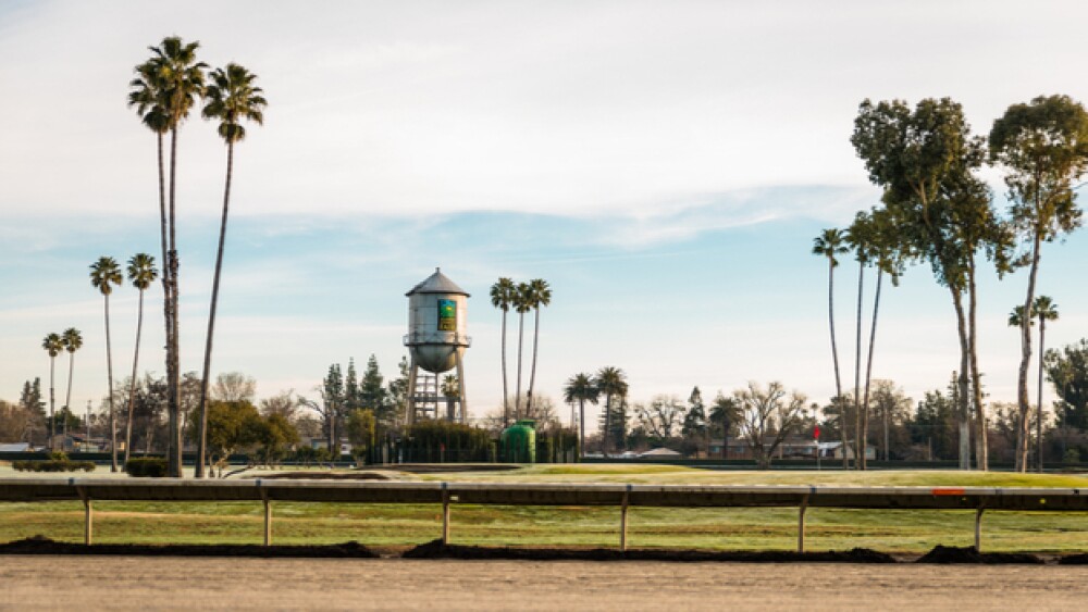 Uladzik Kryhin / Shutterstock.com