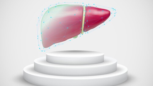 vector liver on top of a pedestal on a white background