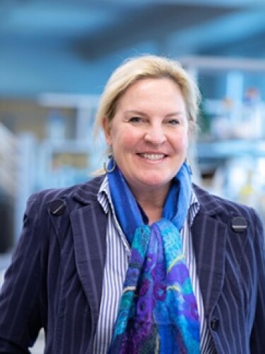 Laura Niedernhofer, M.D., Ph.D