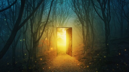 A magical door in the forest with bright glowing lights.