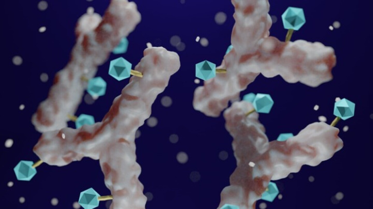 Pictured: 3D illustration of antibody-drug conjugates with their toxic payloads