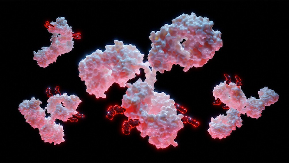 Pictured: 3D illustration of antibody-drug conjugates carrying toxic payloads