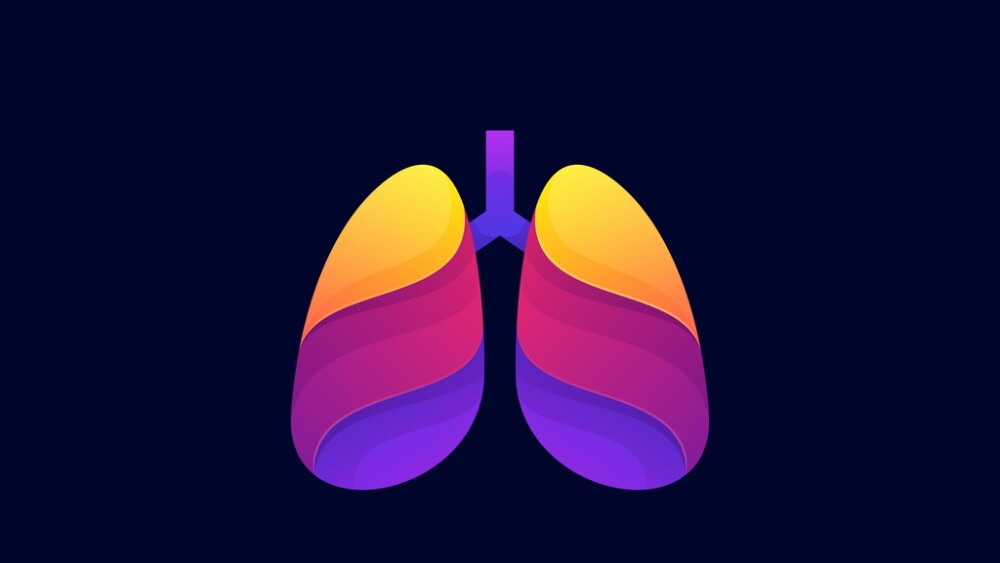 Vector Illustration Healthy Lungs Gradient Colorful Style.