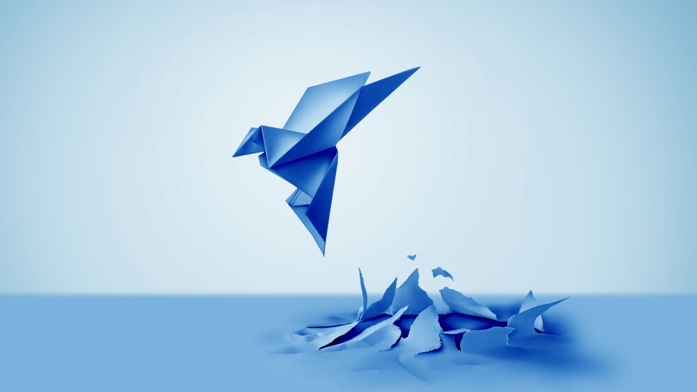 Business Success Inspiration and motivation concept as a birth or rebirth with a blue paper origami bird emerging as a symbol of creativity and metamorphosis and an icon of change and transformation.