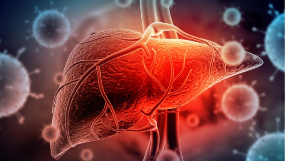 Pictured: Illustration of liver surrounded by hepa