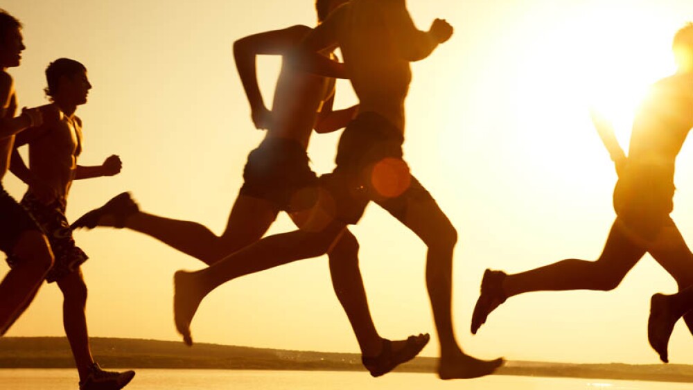 Working Out in The Morning is Best for Stress, Not Muscle Size , Report Says