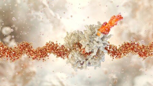 The mRNA strand carries genetic code. Cellular translation process. A ribosome synthesizes protein based on mRNA information. The ribosome decodes mRNA to form a protein chain. Molecular biology 3D illustration
